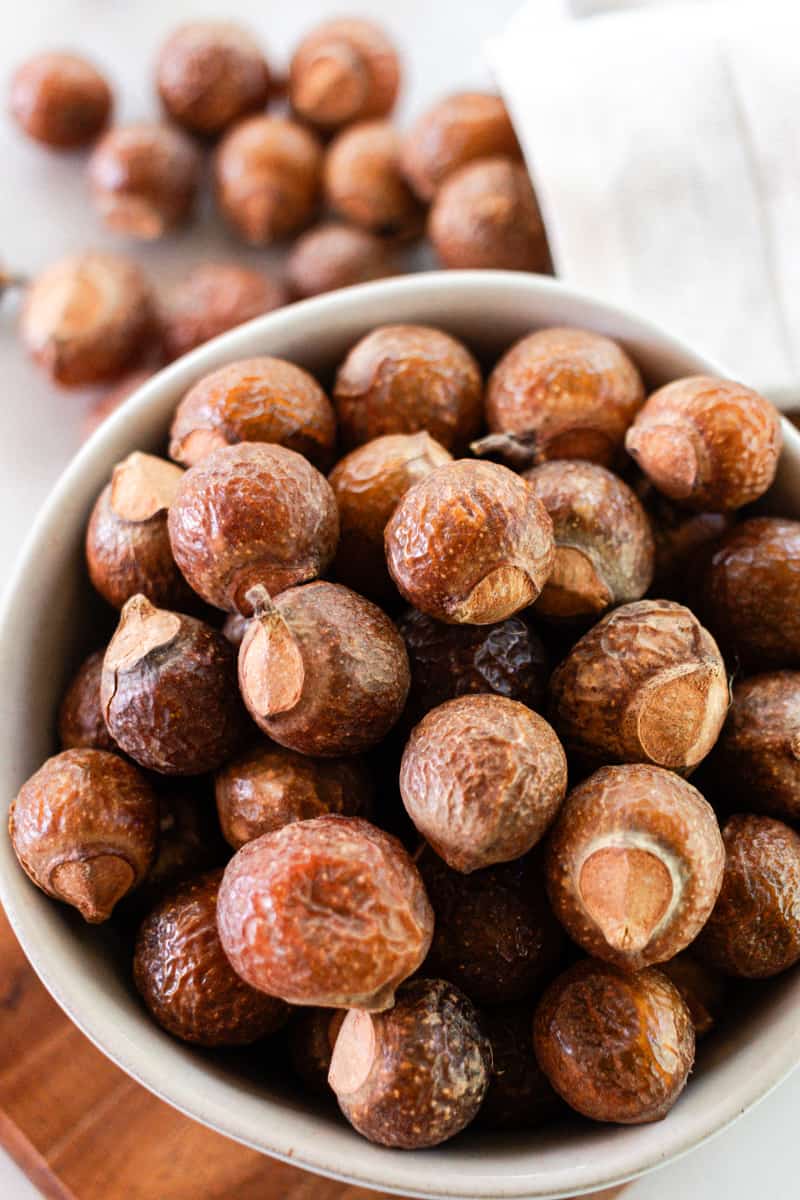 Dried soapnuts reading to be added to a ground to make into a powder.