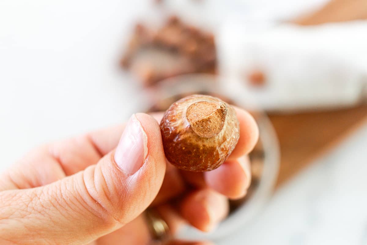 Holding a soap nut close up showing its texture.