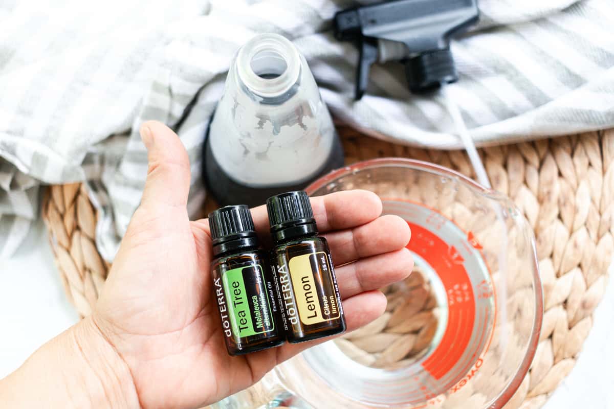 Holding the oils to repel spiders over a spray bottle.