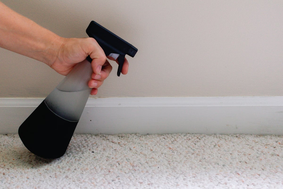 Spraying the baseboards with a DIY spider repellent.