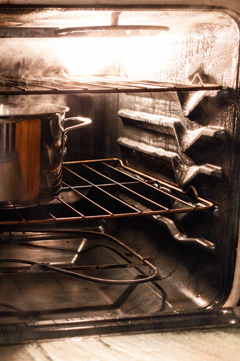 A steamy oven ready to be cleaned.