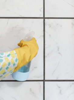 Spraying the mold with a homemade mold spray directly onto the grout.