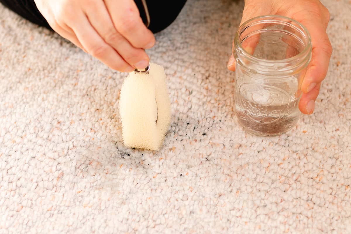 Blotting the ash and soot stain with a damp sponge.