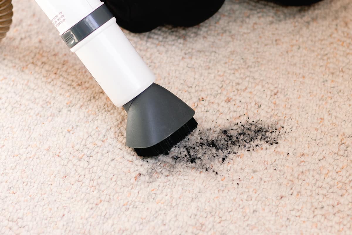 Vacuuming up loose ash off the carpet.
