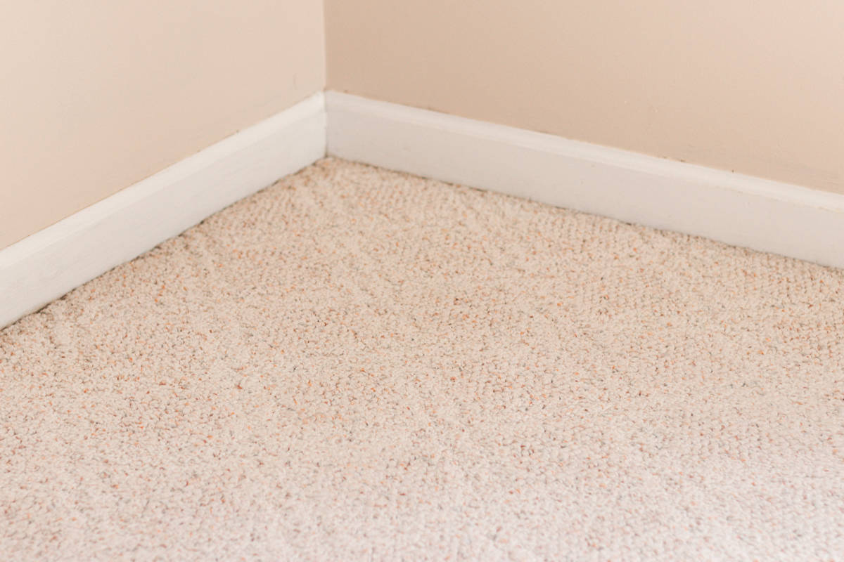 A clean stain free piece of carpet after getting the ash and soot stain out with baking soda.