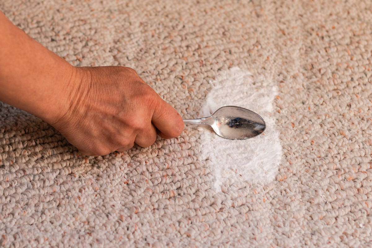Agitating the ash stain in the carpet with baking soda and a metal spoon.