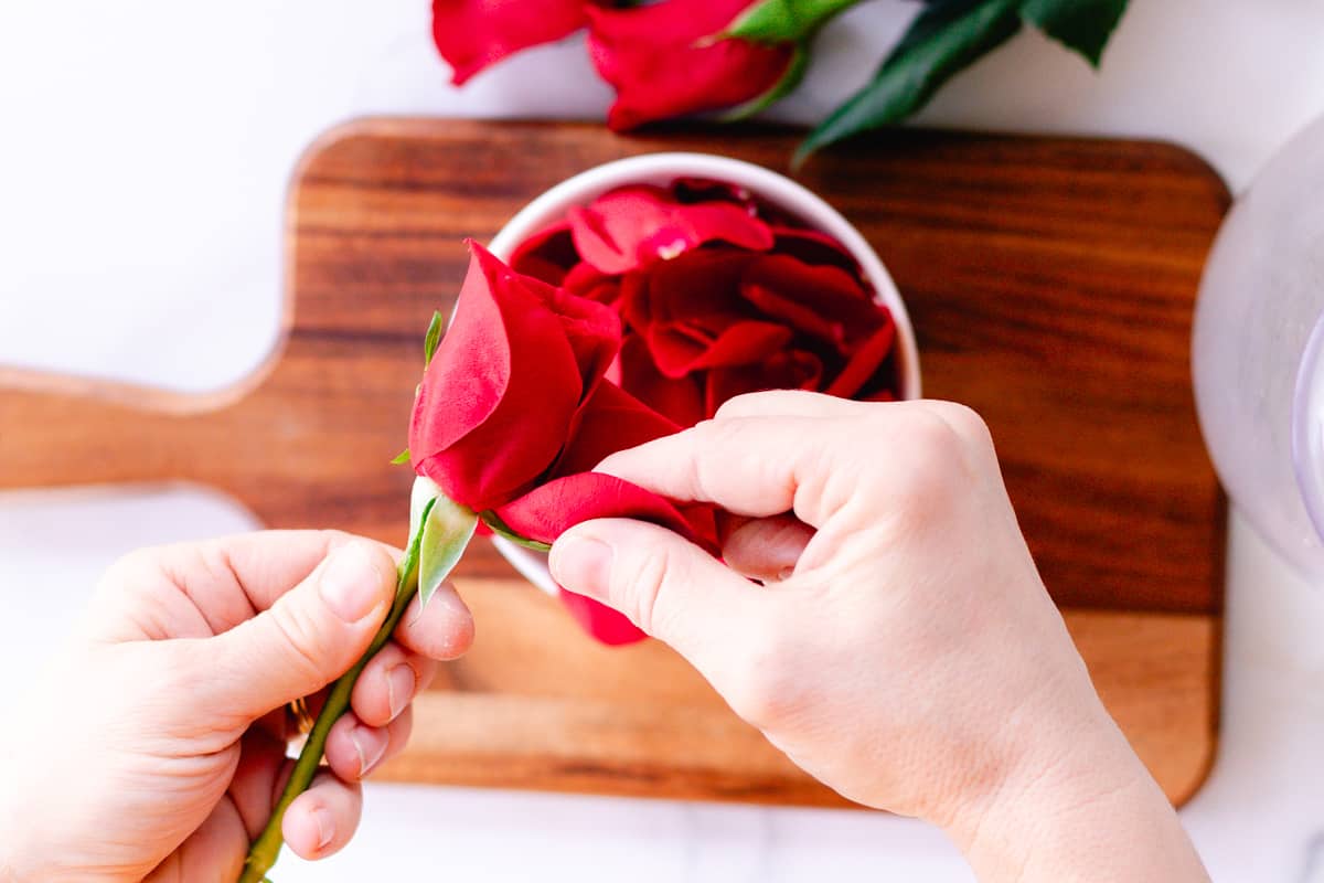 Picking the rose petals from the stem.