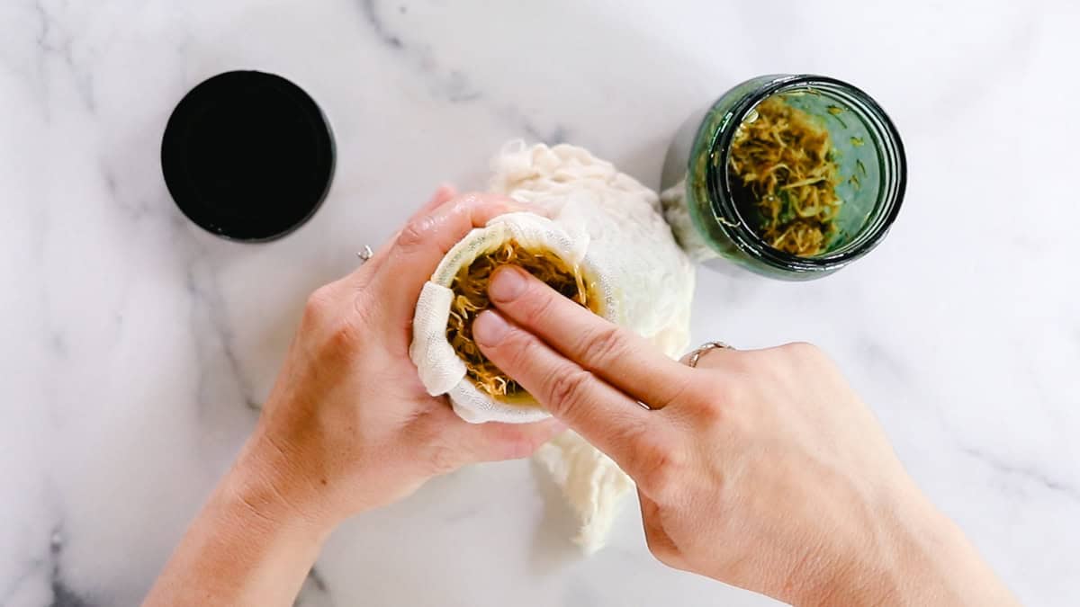 A person is using two fingers to smash the calendula petals into the cheesecloth to strain homemade calendula oil into a small jar. The black lid rests on the white countertop. 