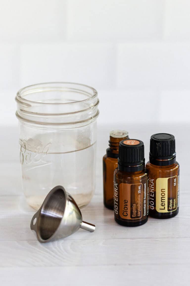 Essential Oils To Repel Ants Tips & Tricks Our Oily House