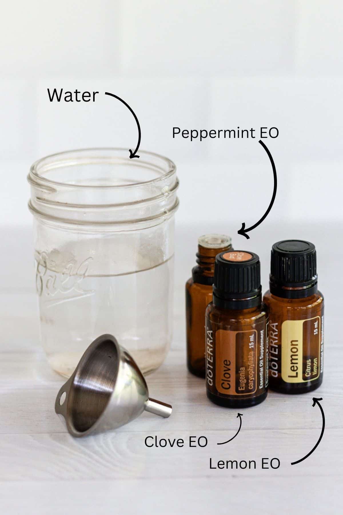 Ant repellent ingredients: essential oils, water, and a metal funnel.