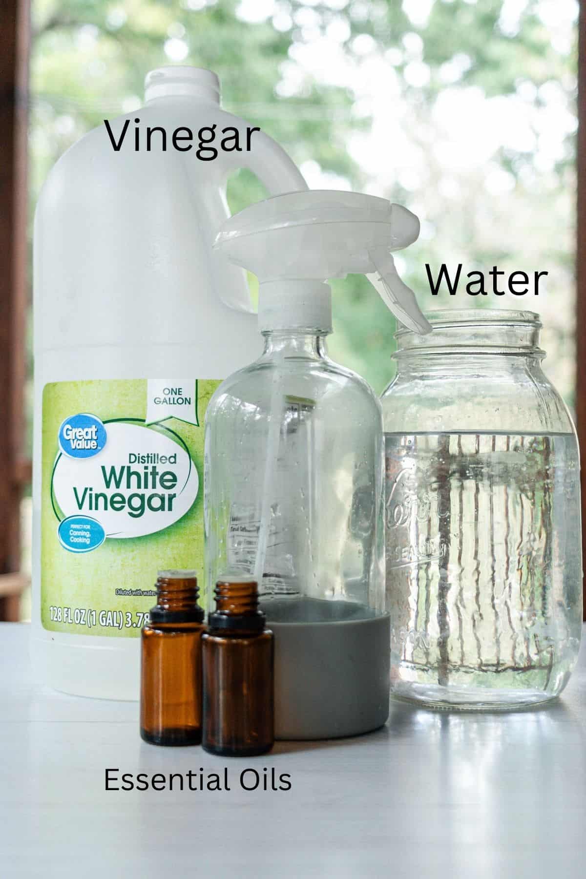 Homemade Window Cleaner Our Oily House