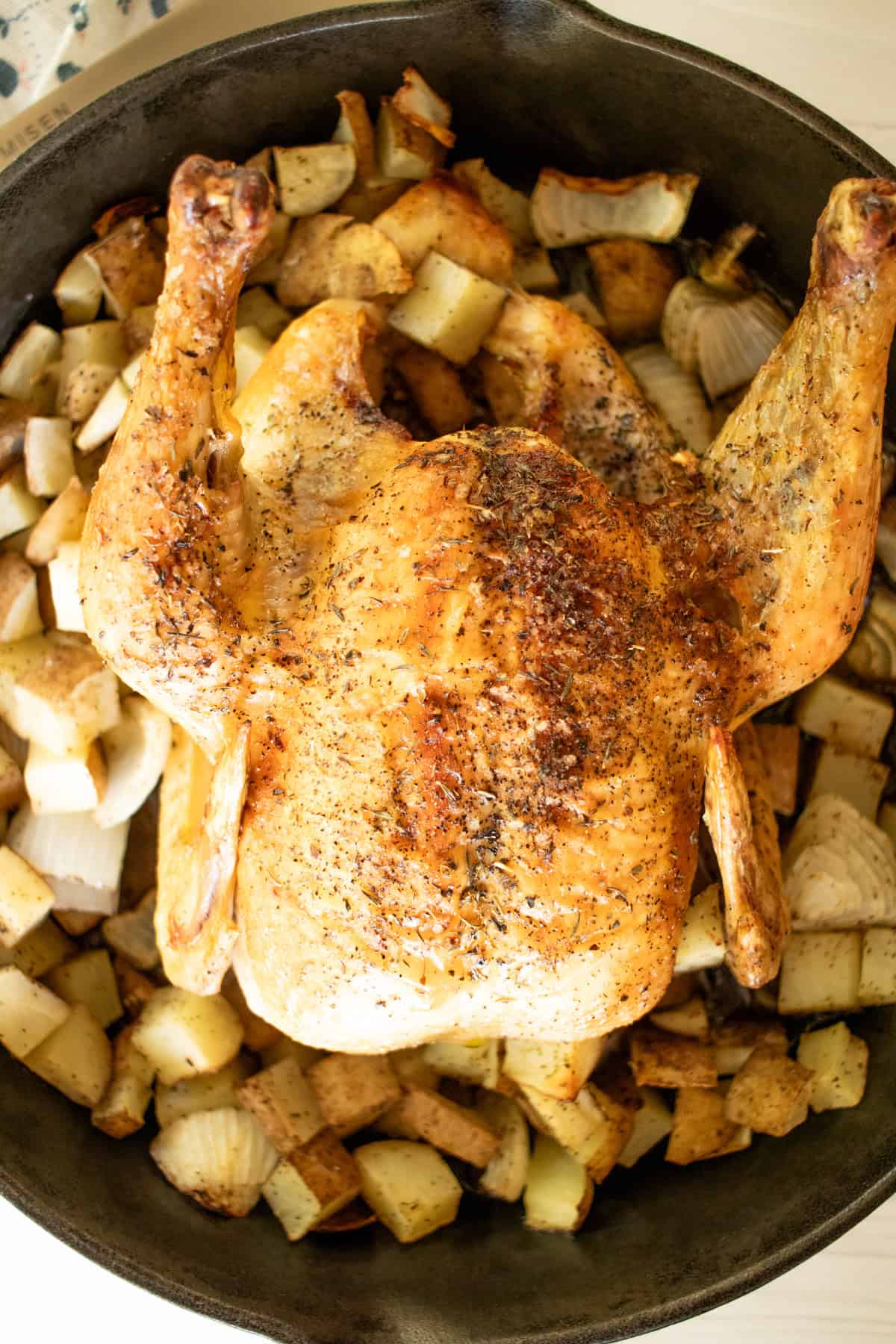 Cast iron roast chicken with red potatoes, whole, in cast iron skillet.