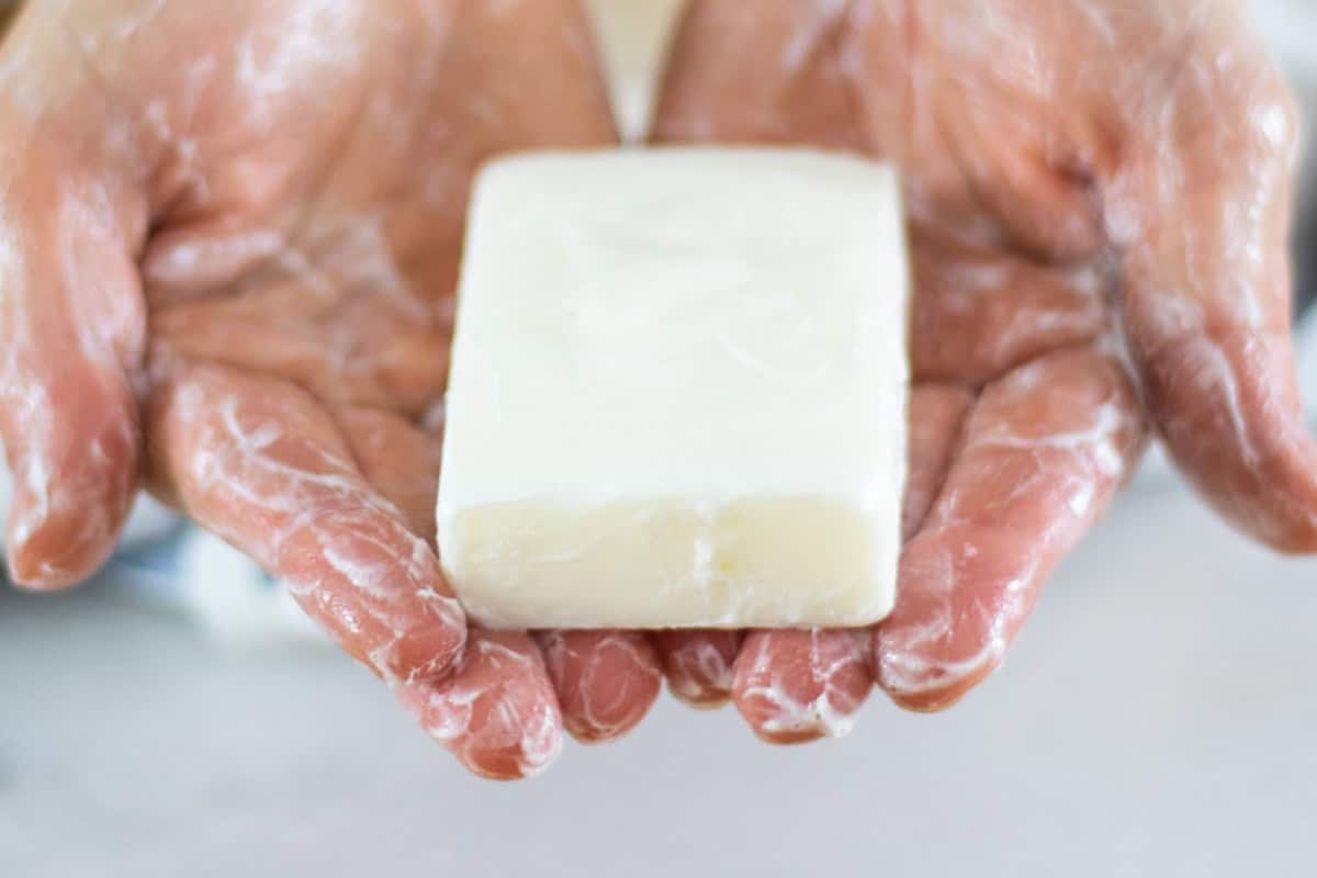 Holding a bar of tallow soap in two open hands.