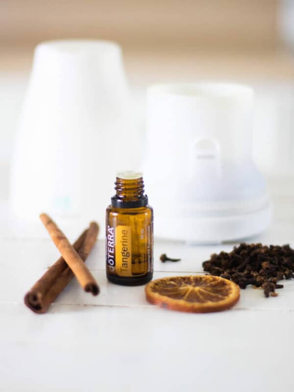 A diffuser with an essential oil bottle, cinnamon sticks, and cloves.