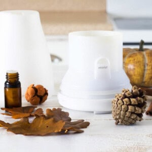 A diffuser with fall essential oils, dried leaves, and a pinecone.