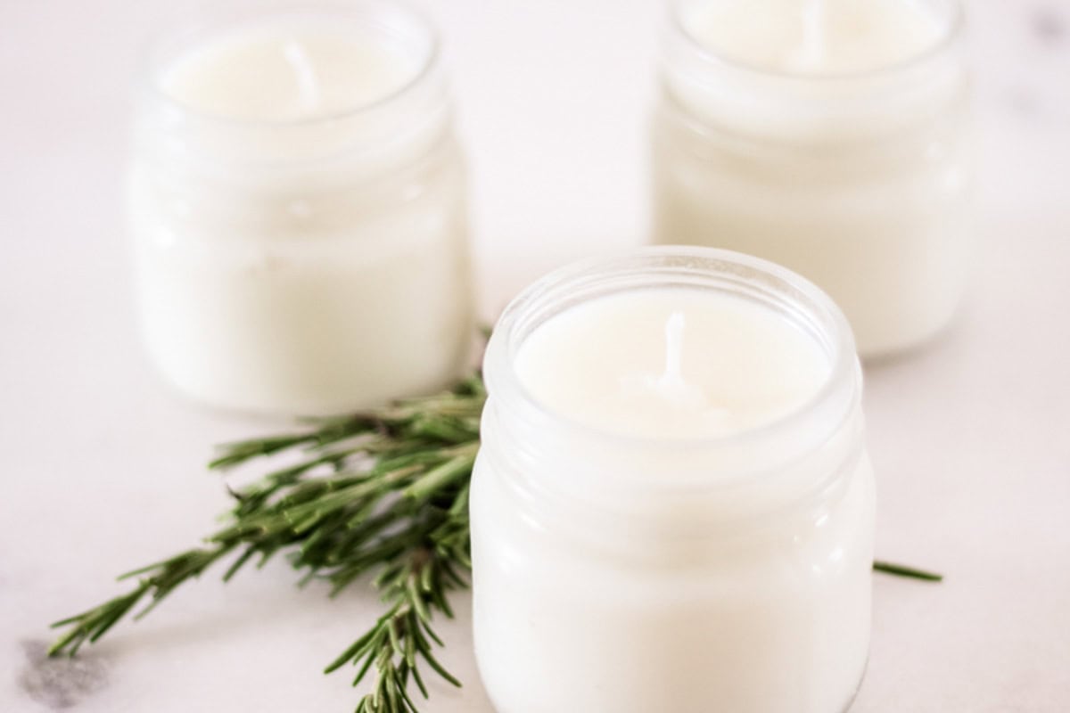Three rosemary mint soy candles with an evergreen sprig.