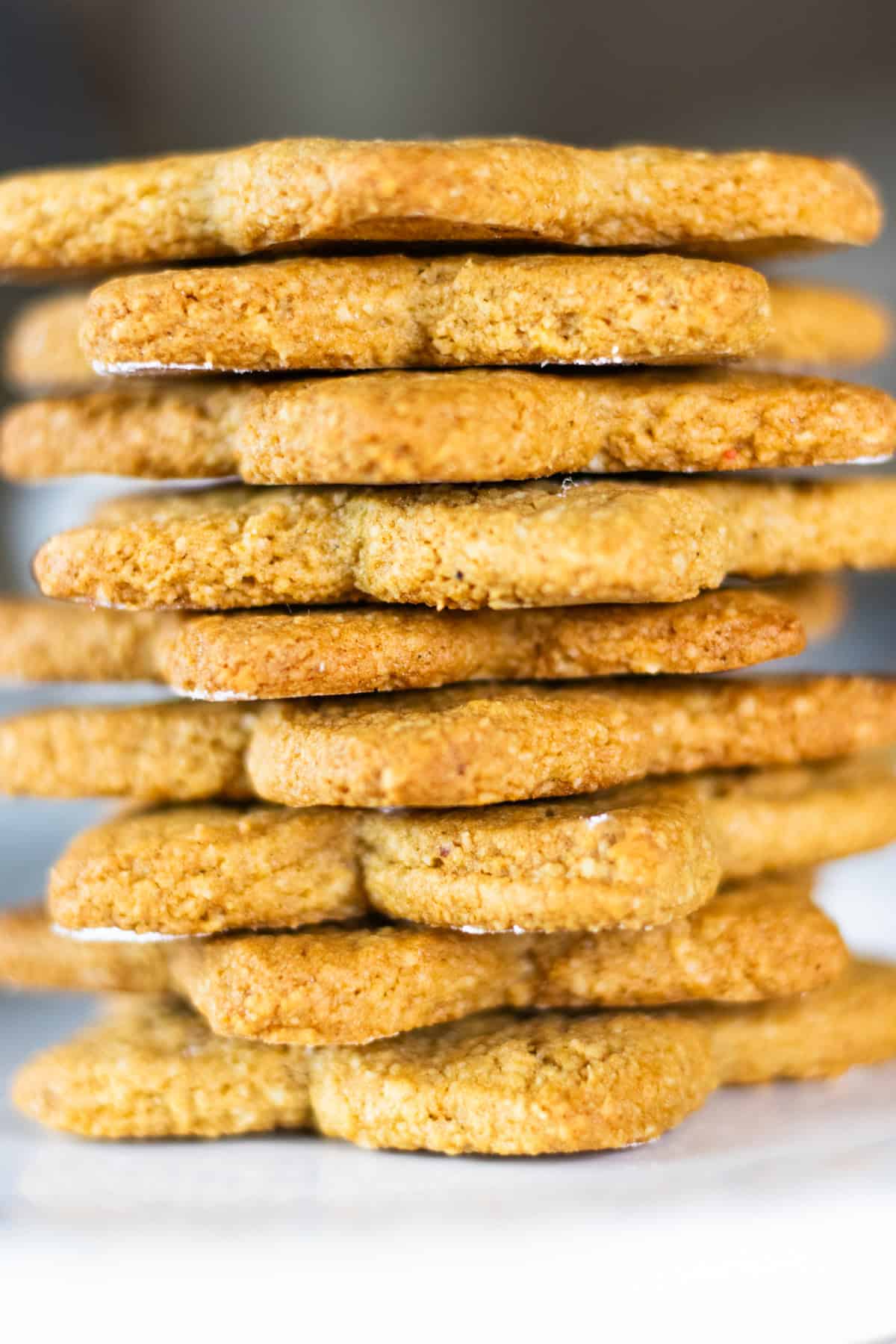 A stack of paleo christmas sugar cookies.