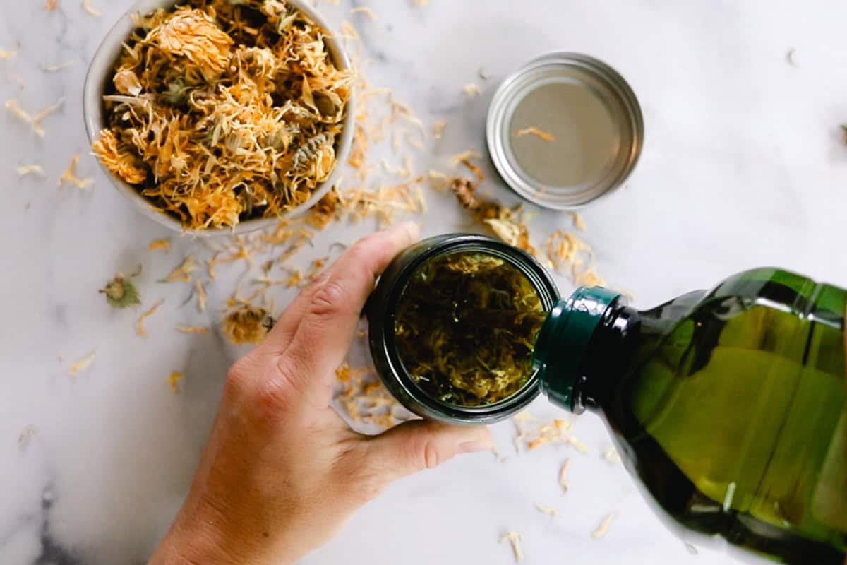 Pouring olive oil into a jar with calendula flowers.