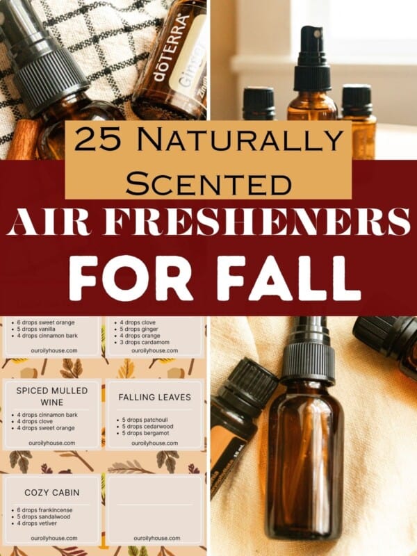 Air fresheners for fall collage.