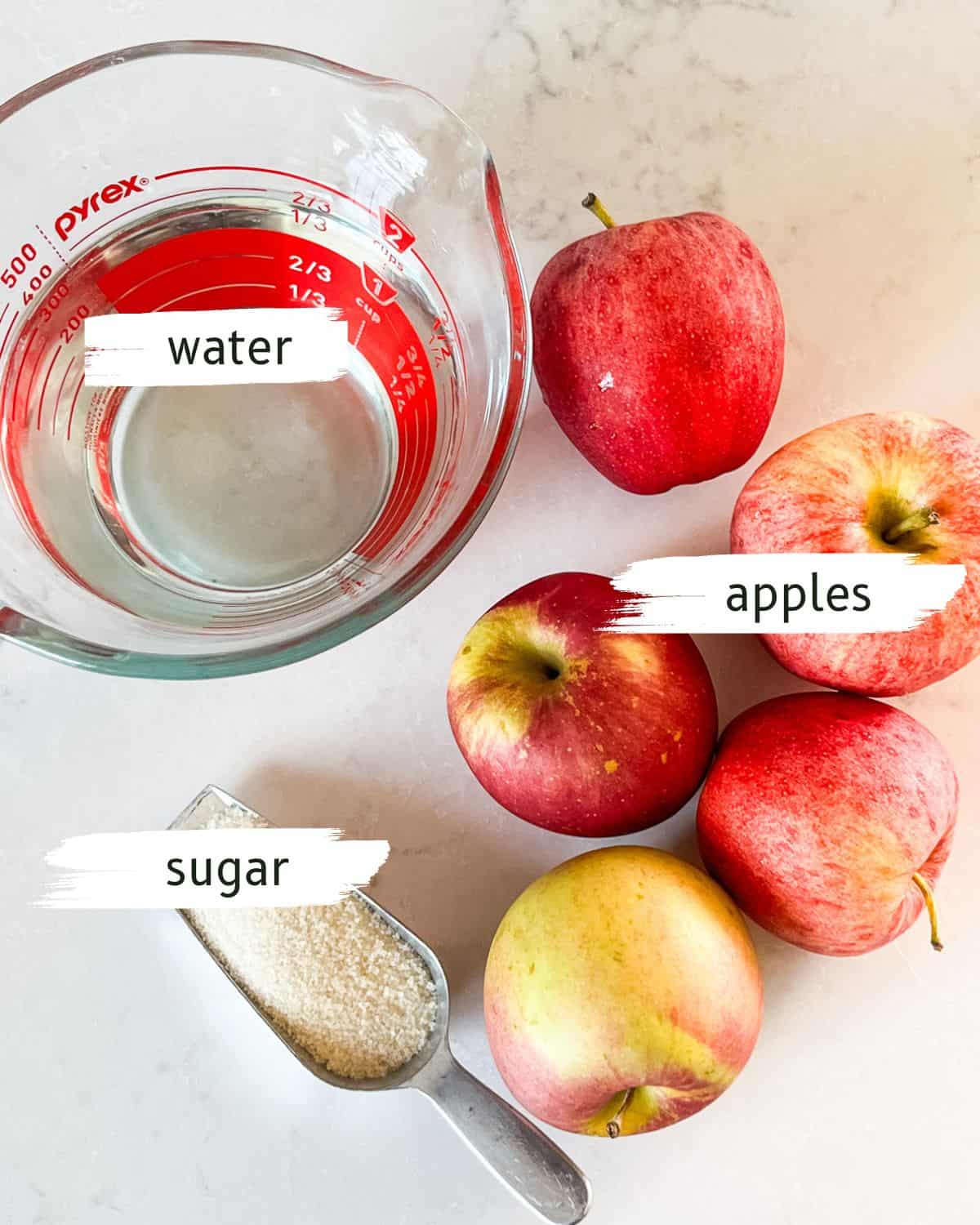 Apple cider vinegar ingredients labeled on a kitchen counter. 