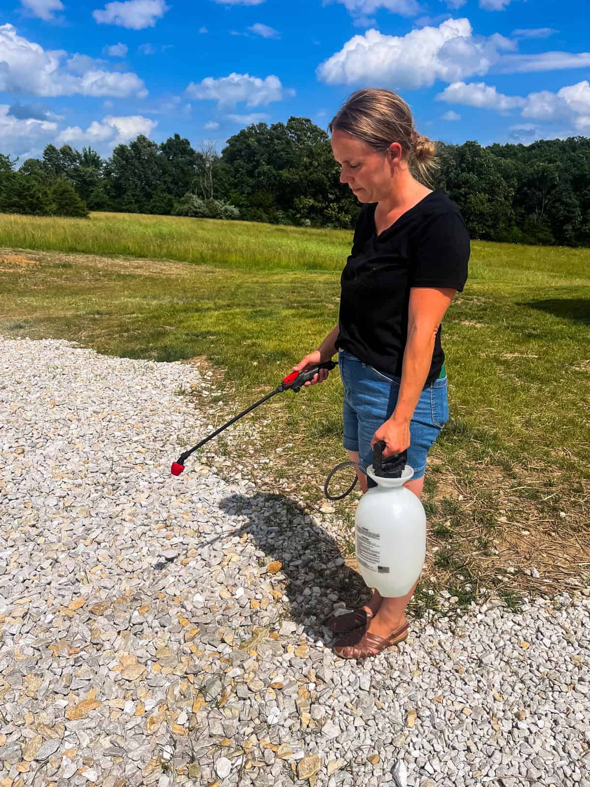Spraying a rock driveway with natural weed killer using a pump sprayer.