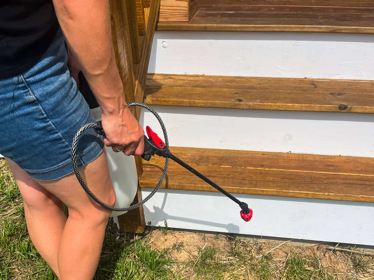 Spraying natural weed killing on a patch of weeds with a pump sprayer.